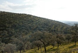 El Barranco de Martín Perez